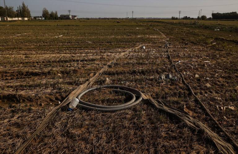 Foto: ROBER SOLSONA/EP