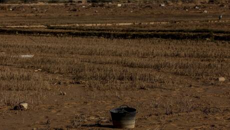 Foto: ROBER SOLSONA/EP