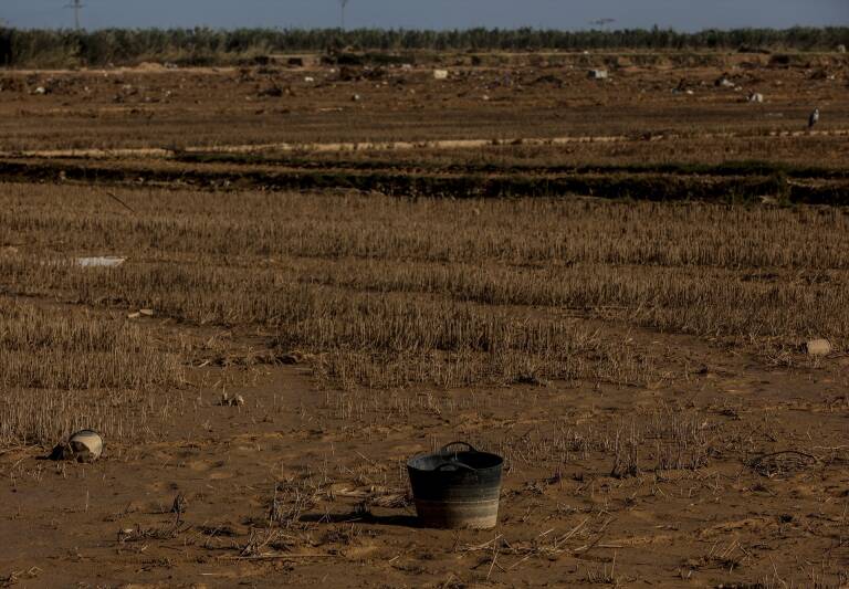 Foto: ROBER SOLSONA/EP